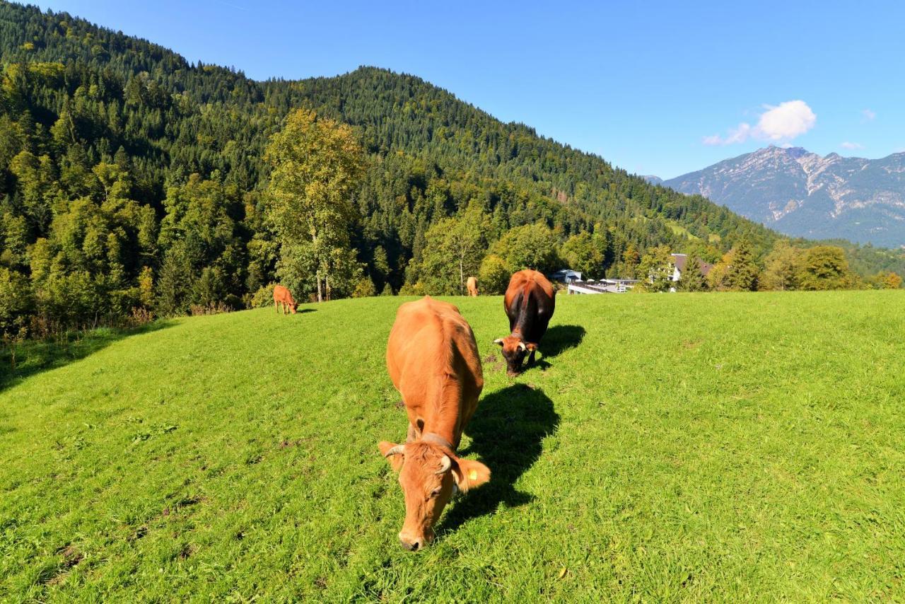 Graseck - Mountain Hideaway & Health Care 4* Garmisch-Partenkirchen